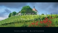 Vogelsburg/Maria im Weingarten/Hallburg - Ansichtskarten