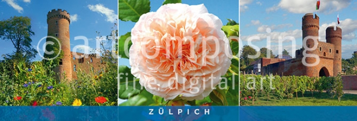 76-070 Zülpich - Mehrmotiv Multi 3 (Magnet)
