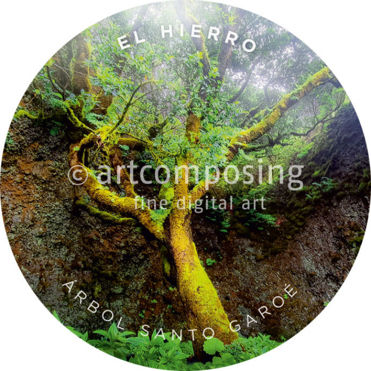 76-402 El Hierro - Árbol Santo Garoé (Magnet)