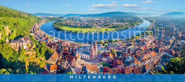 76-645 Miltenberg Stadtansicht (Magnet)