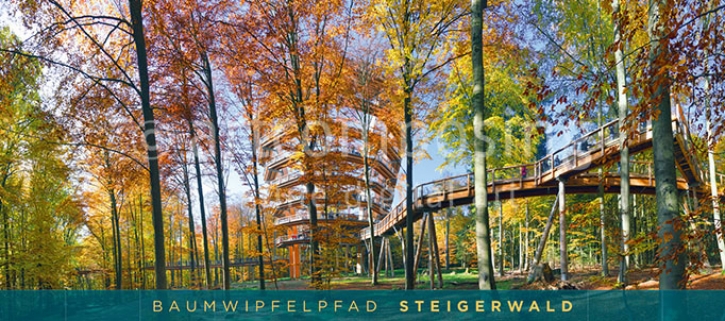 76-662 Naturpark Steigerwald - Baumwipfelpfad im Herbst (Magnet)