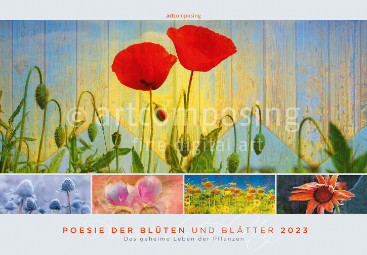 93-116 Poesie der Blüten und Blätter (Kalender A3+)